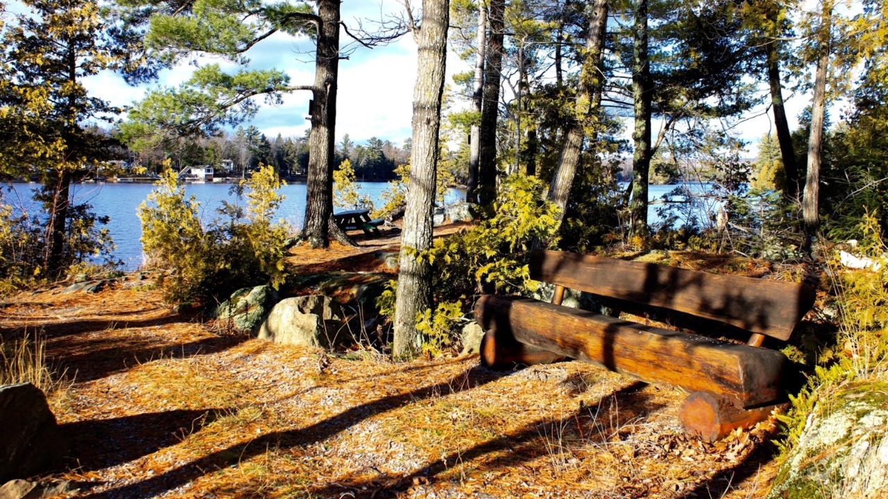 Quiet Spot To Sit & Enjoy