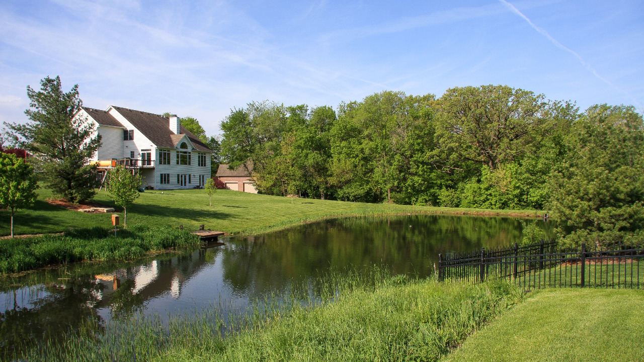 Pond View