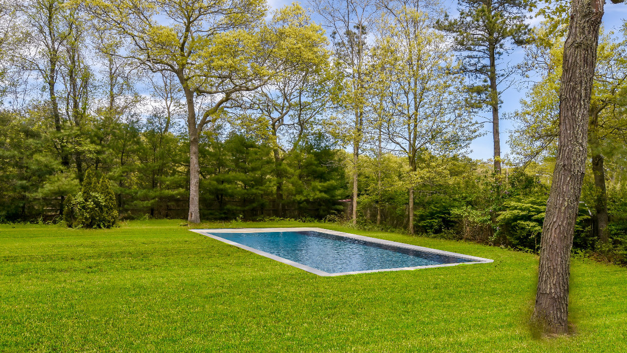 Back Yard  & Pool