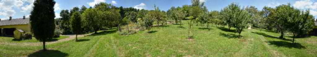 Barn Vegetable Garden Pan