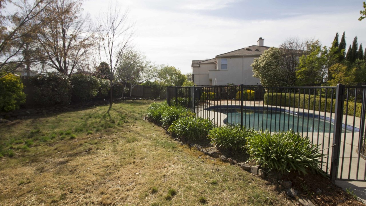 Backyard with Pool