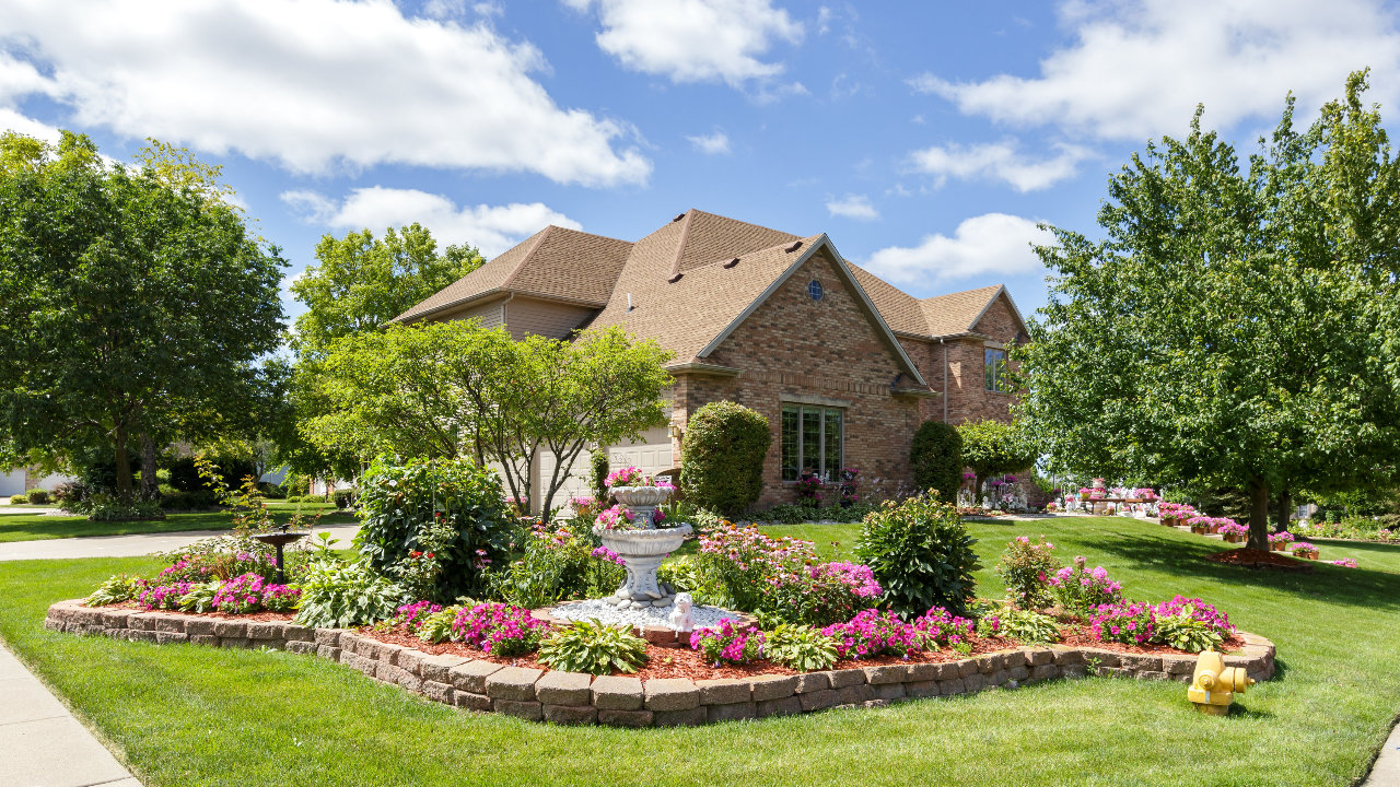 Front Yard Summer