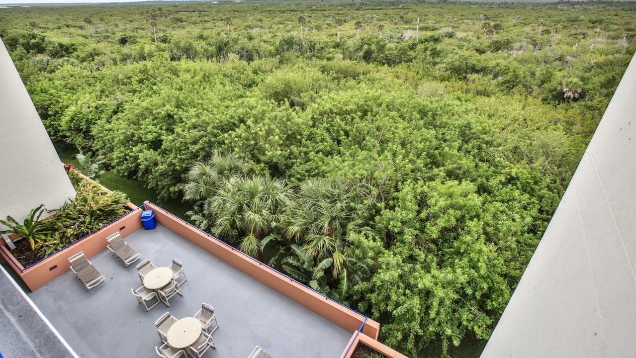 View & Common Area (2)