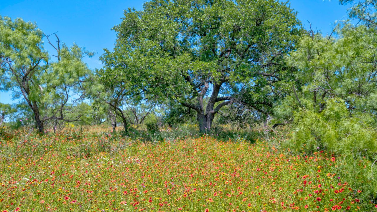 CR 405, Valley Spring, TX, 76885 Scene 3