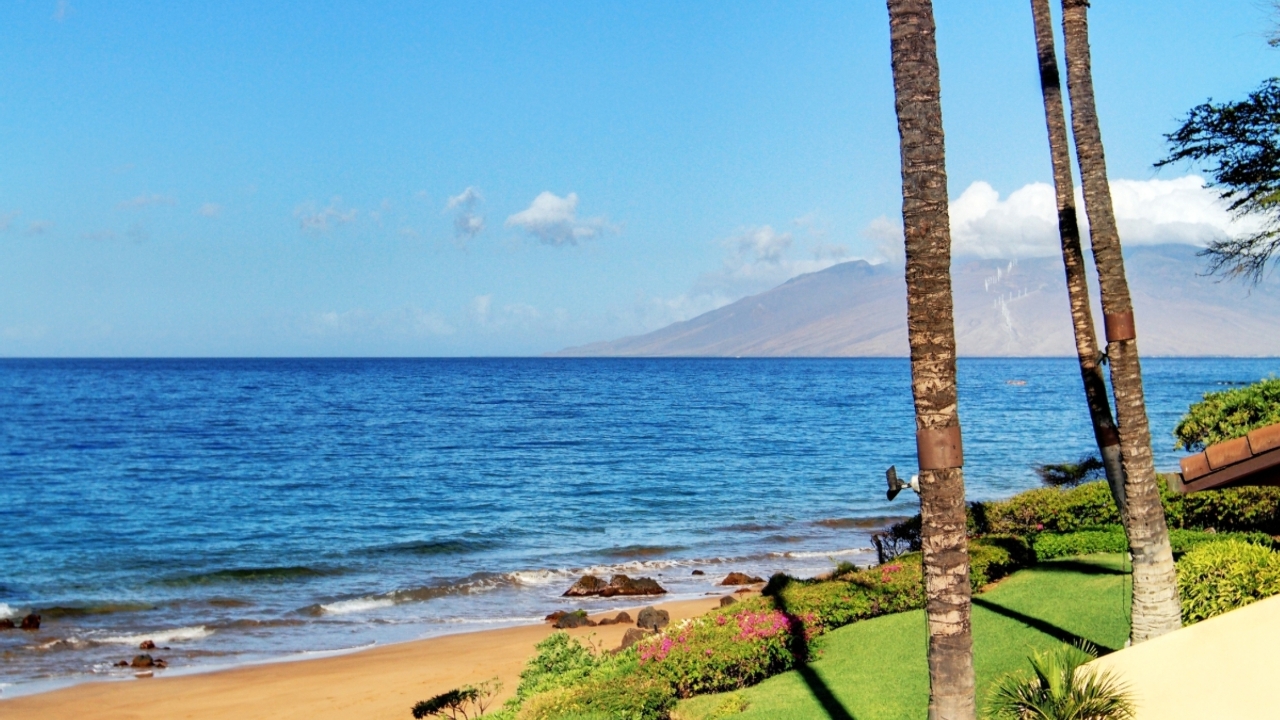 Northern Beach View