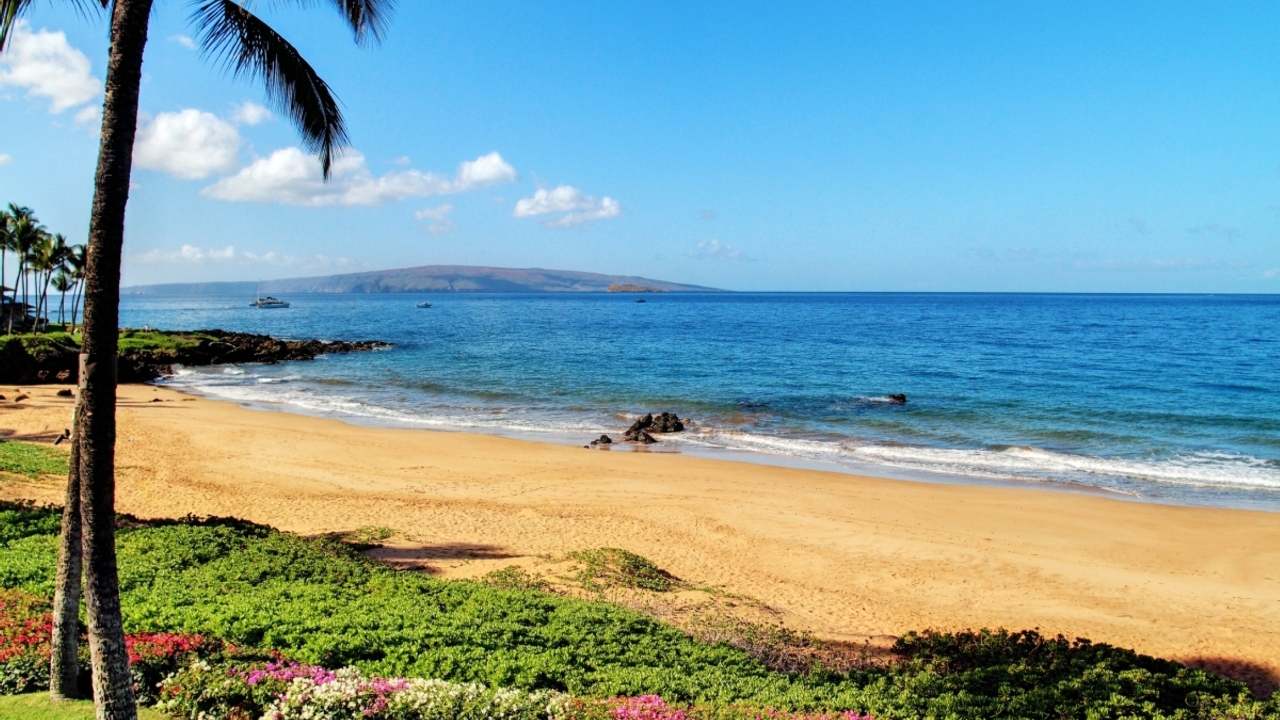 Beach Access 