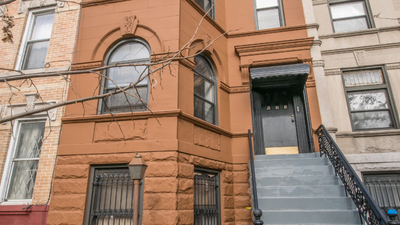 695 Halsey St, Brooklyn, NY, 11233 Scene 4