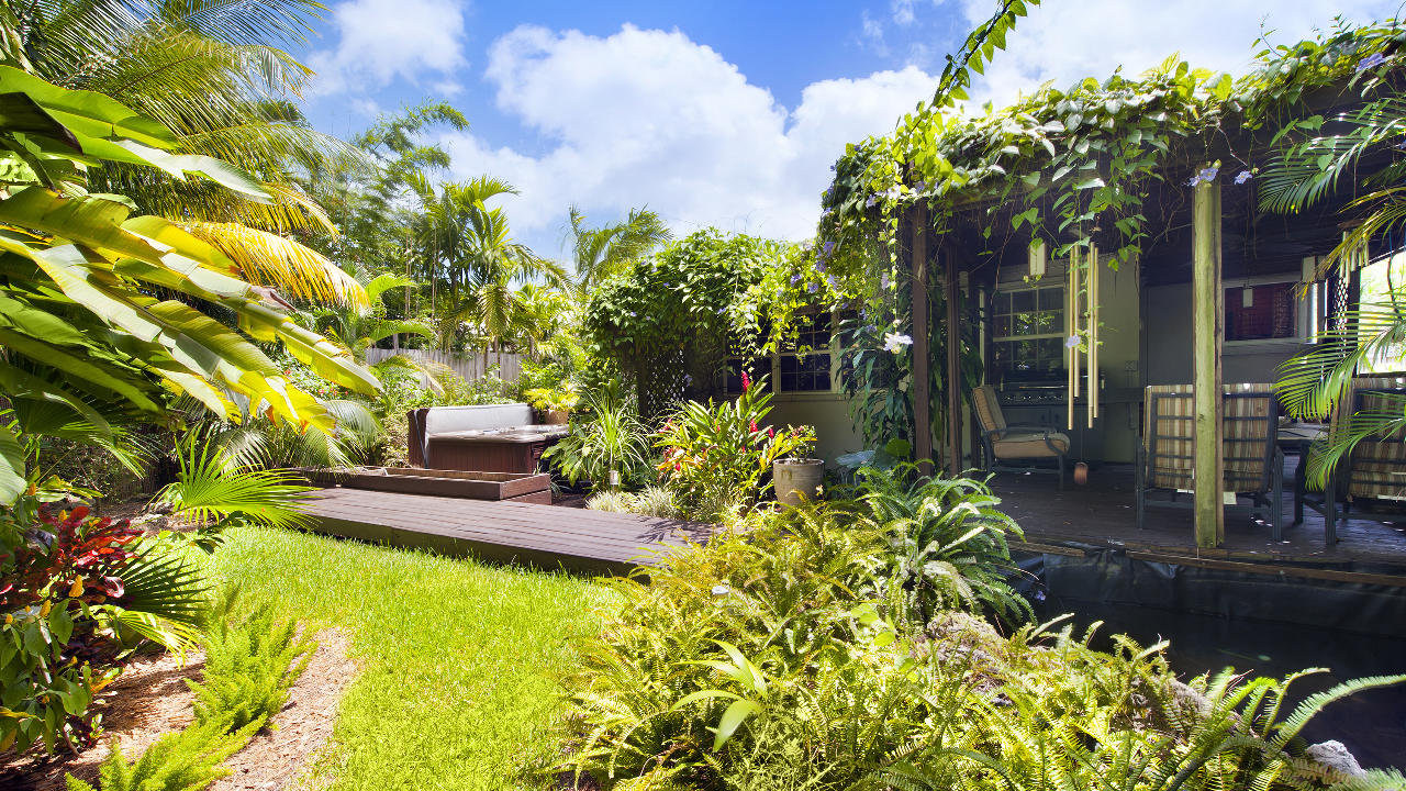 Backyard