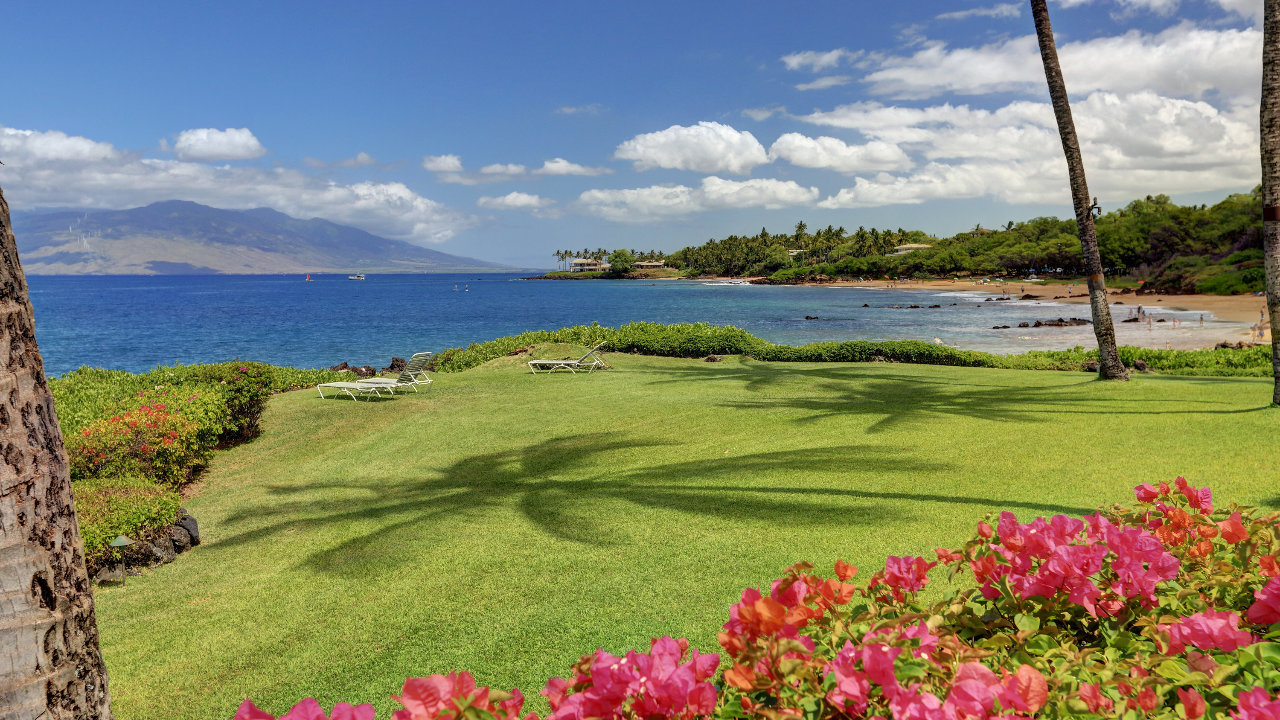 Oceanfront Courtyard