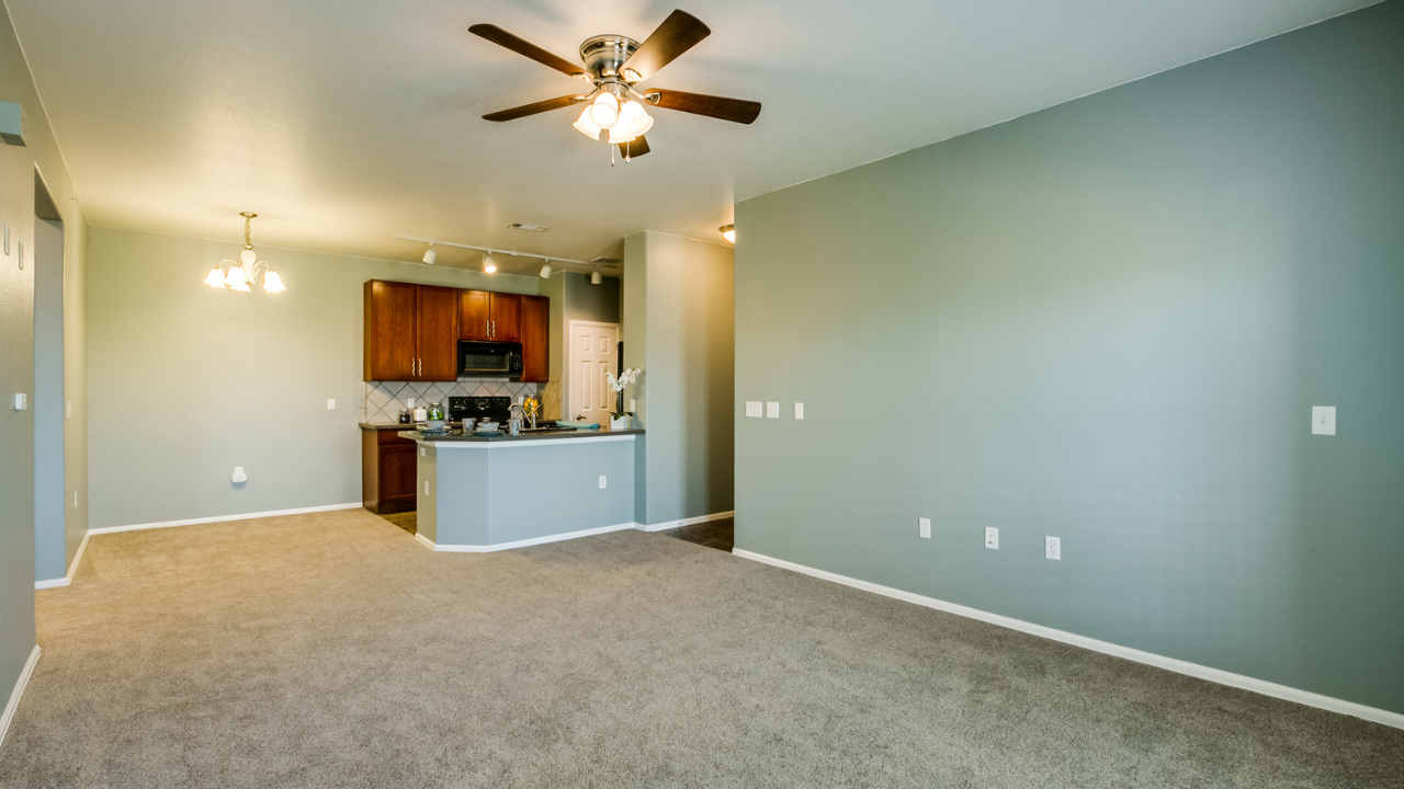 Living and Dining Room