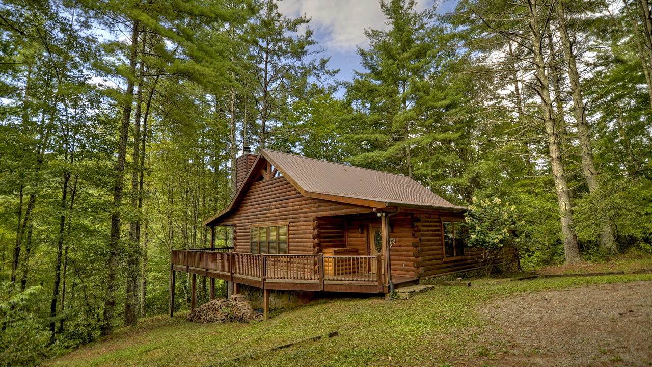 352 Ernest Alta Cir, Blue Ridge, GA, 30513 Scene 1