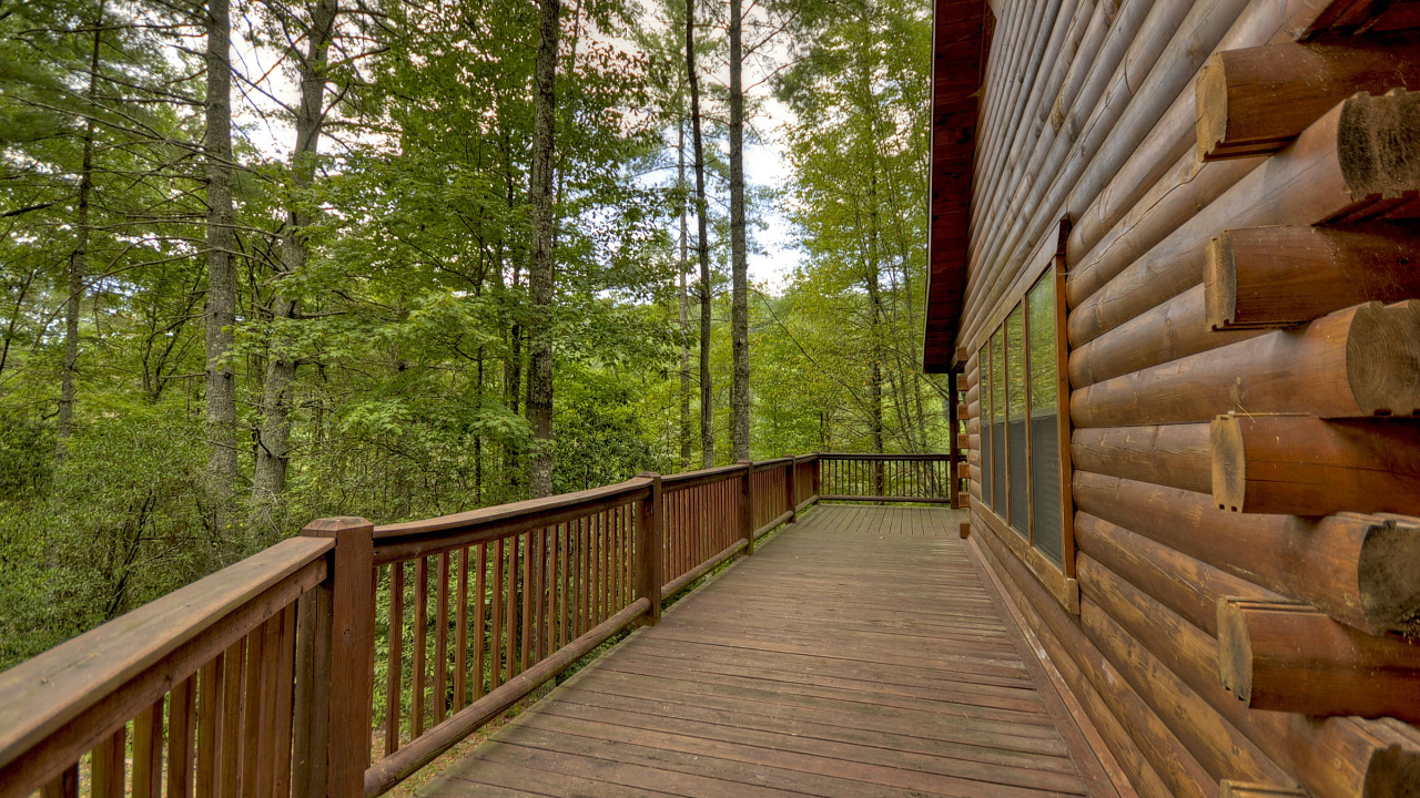 352 Ernest Alta Cir, Blue Ridge, GA, 30513 Scene 4