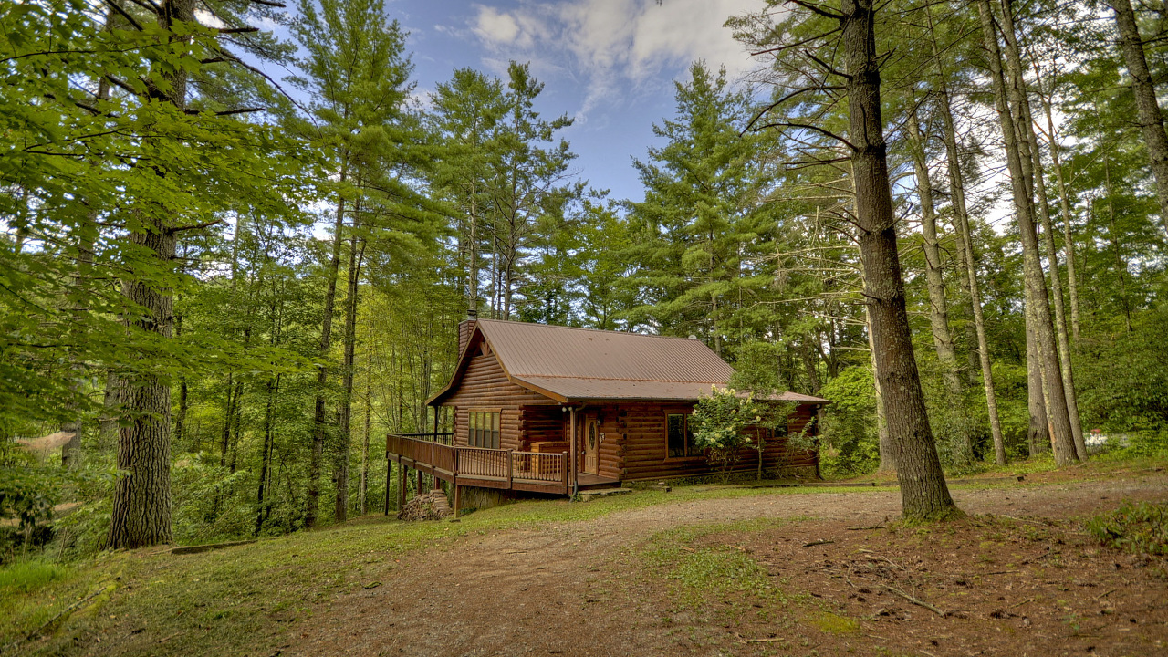 352 Ernest Alta Cir, Blue Ridge, GA, 30513 Scene 2