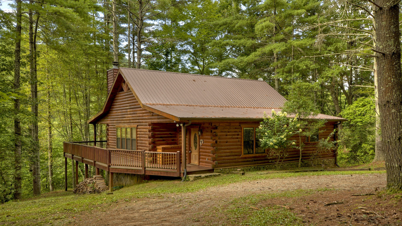 352 Ernest Alta Cir, Blue Ridge, GA, 30513 Scene 3