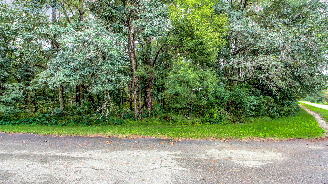 Benlock Road, Jacksonville, FL, 32210 Scene 2