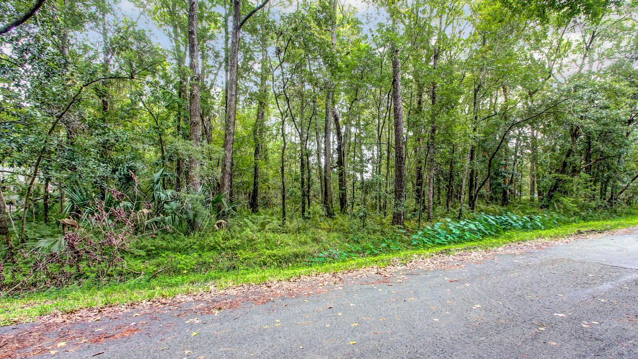 Benlock Road, Jacksonville, FL, 32210 Scene 1