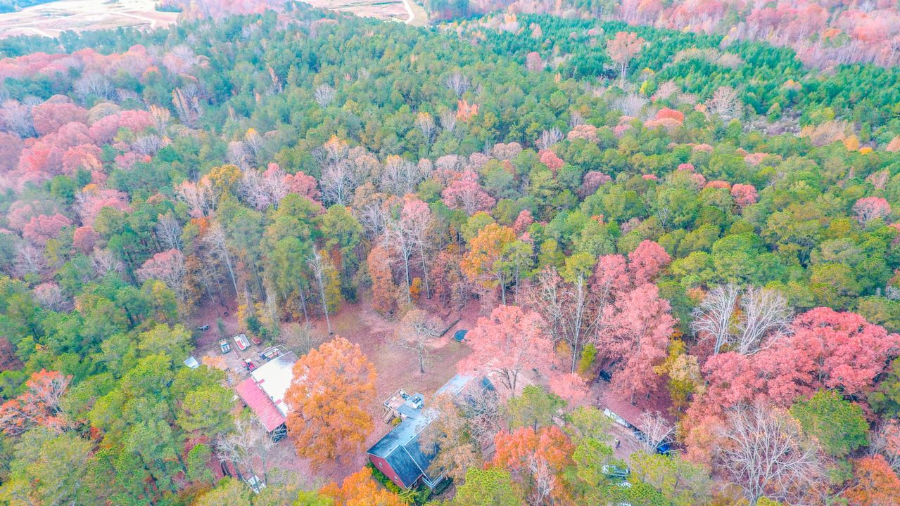 Aerial View of Property