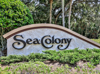 Sea Colony