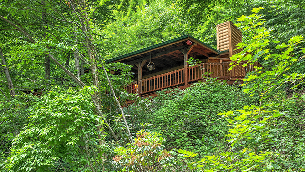 Luxury Logs, Maggie Valley, NC, 28751 Scene 2