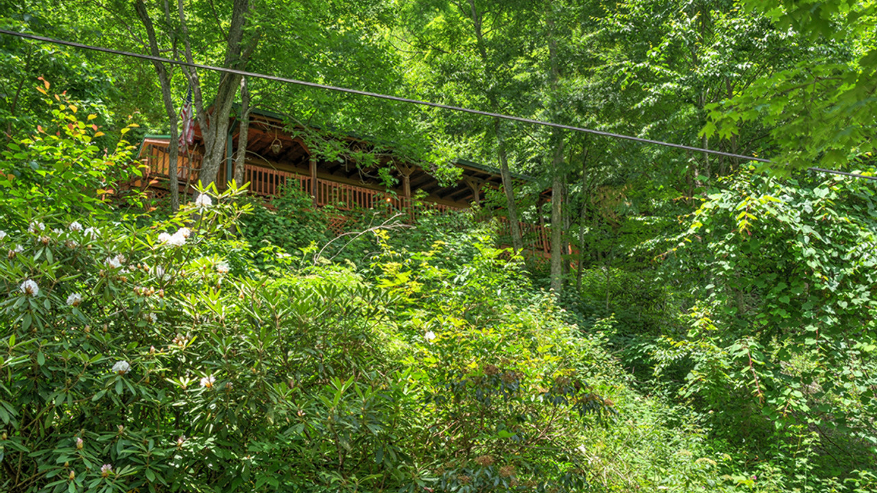 Luxury Logs, Maggie Valley, NC, 28751 Scene 3