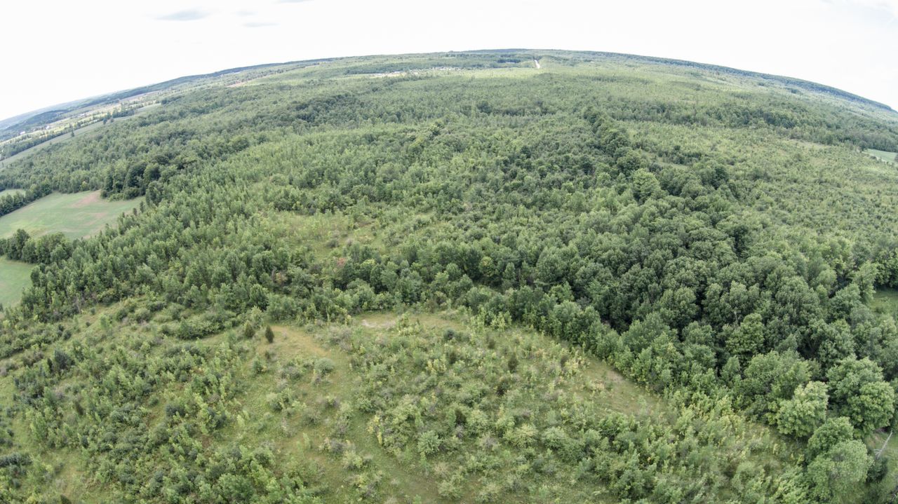 Lot 21 112 Grey Rd.-3