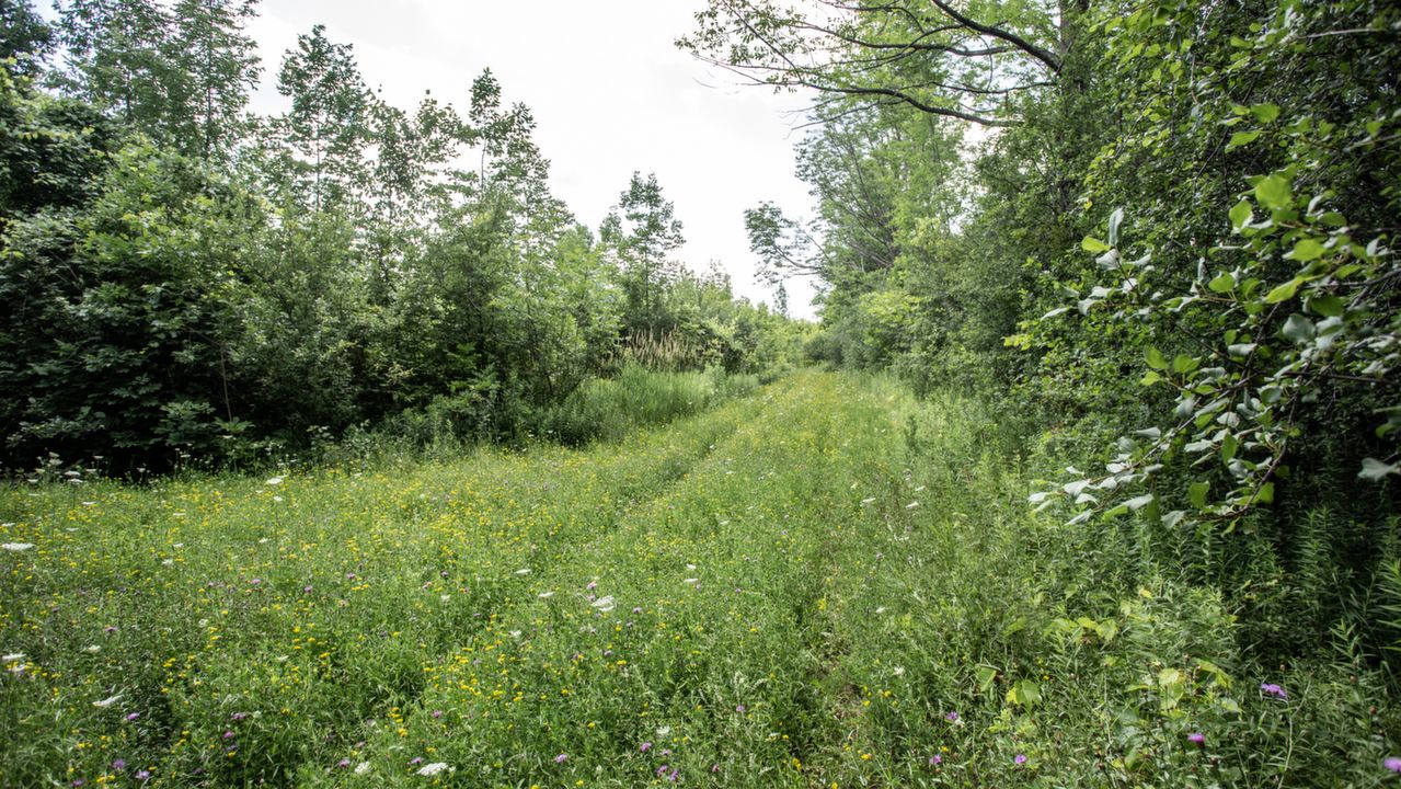 Lot 21 112 Grey Rd.-1