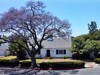 Front - 814 W Markland Dr