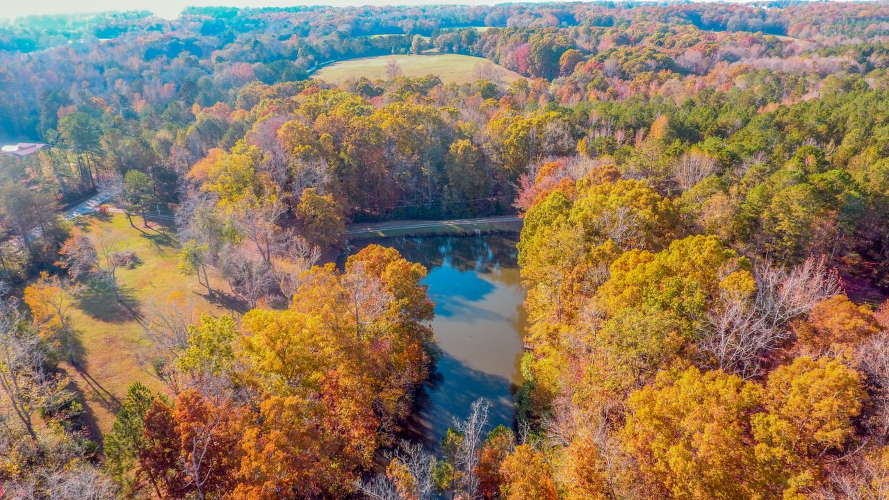 Aerial View of Property