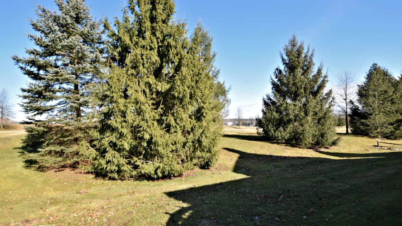 1813 Augusta Drive, Jamison, PA, 18929 Scene 4