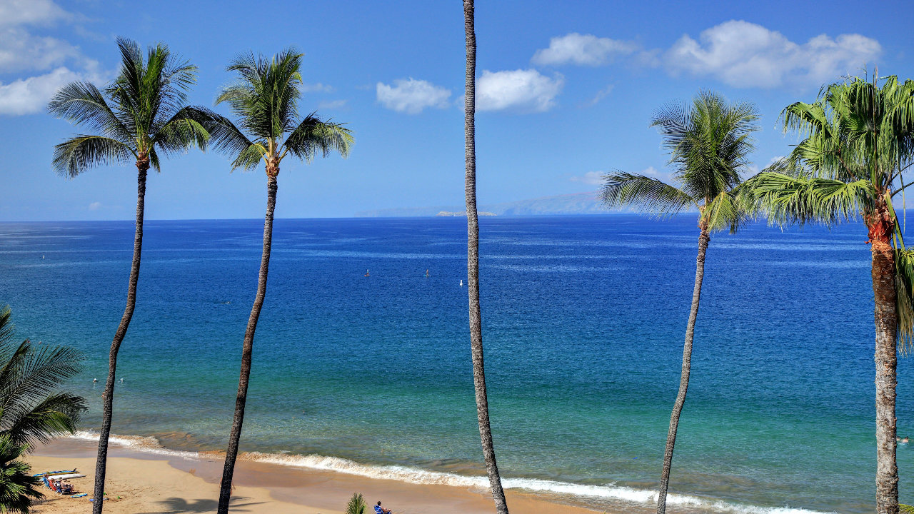 Ocean View