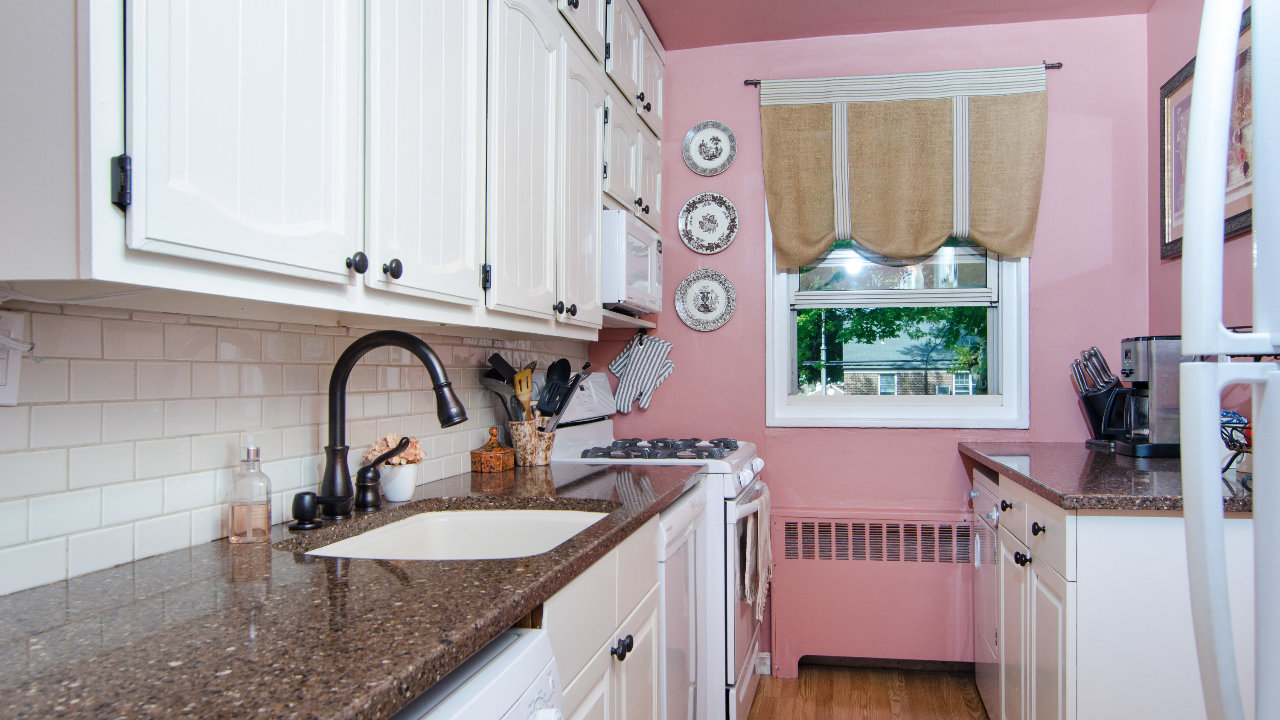 255-08 61st Ave, Little Neck, NC, 11362 Scene 4