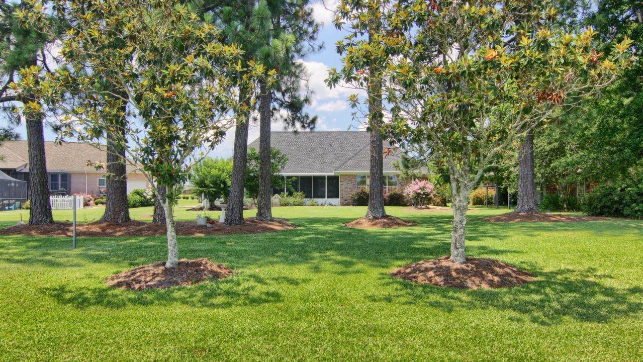 Gorgeous, Shady Rear Yard