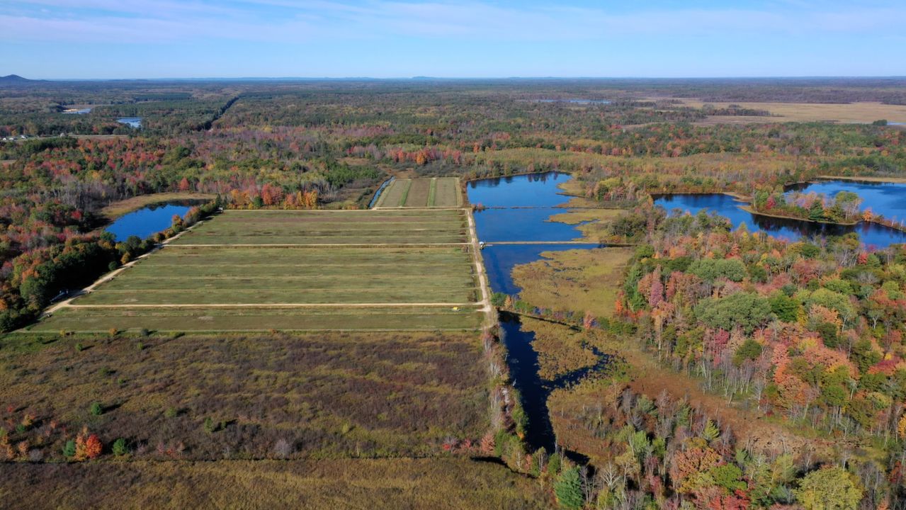 Call Dennis Guenther @ (715) 896-0154