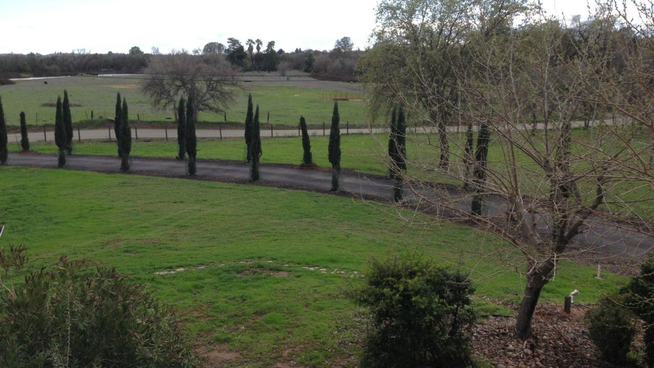 7875 Dick Cook Road, Loomis, CA, 95650 Scene 2