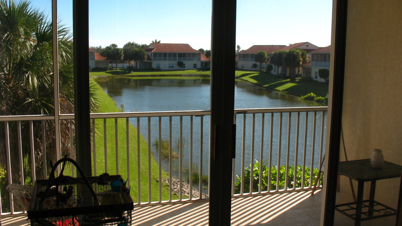 Water View from Living Room