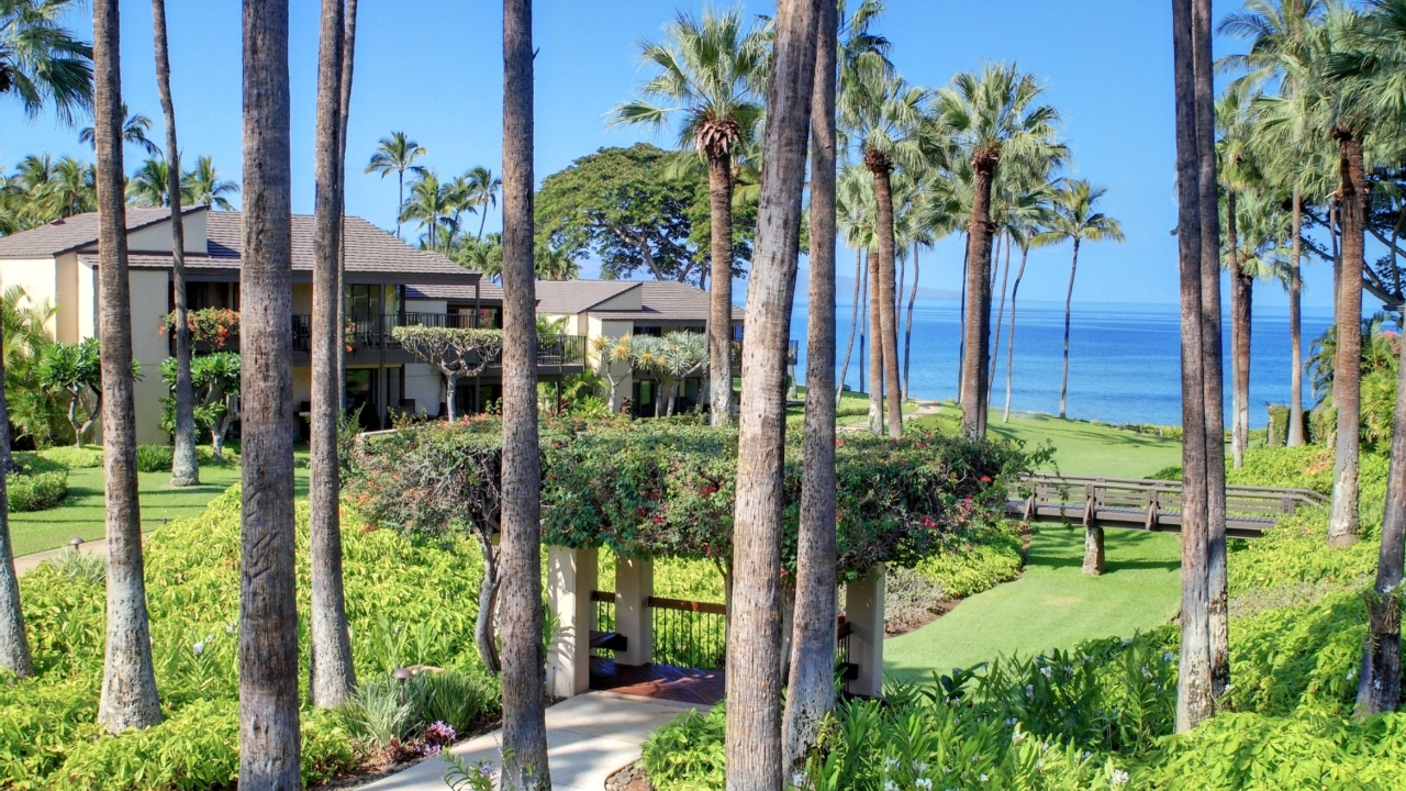 Courtyard Ocean View