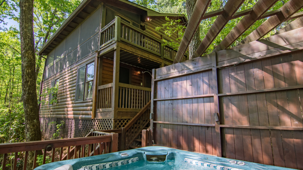 1307 Cherry Lake Drive, Cherry Log, GA, 30522 Scene 1