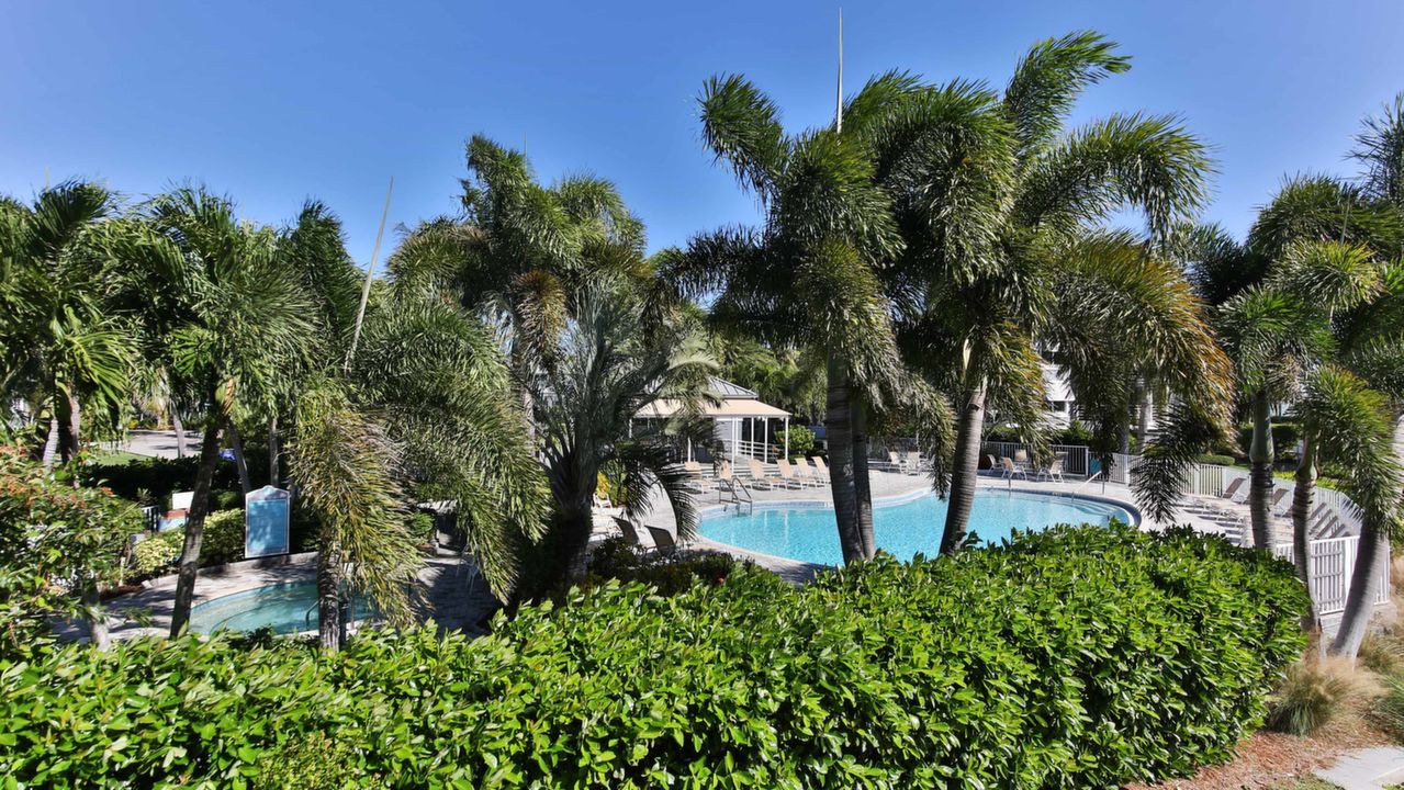 View of Pool and Spa