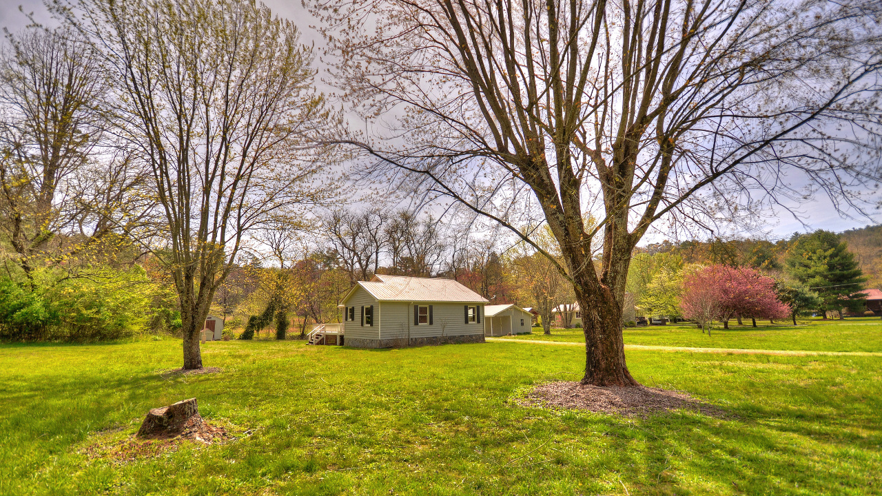 61 Quail Run, Blue Ridge, GA, 30513 Scene 4