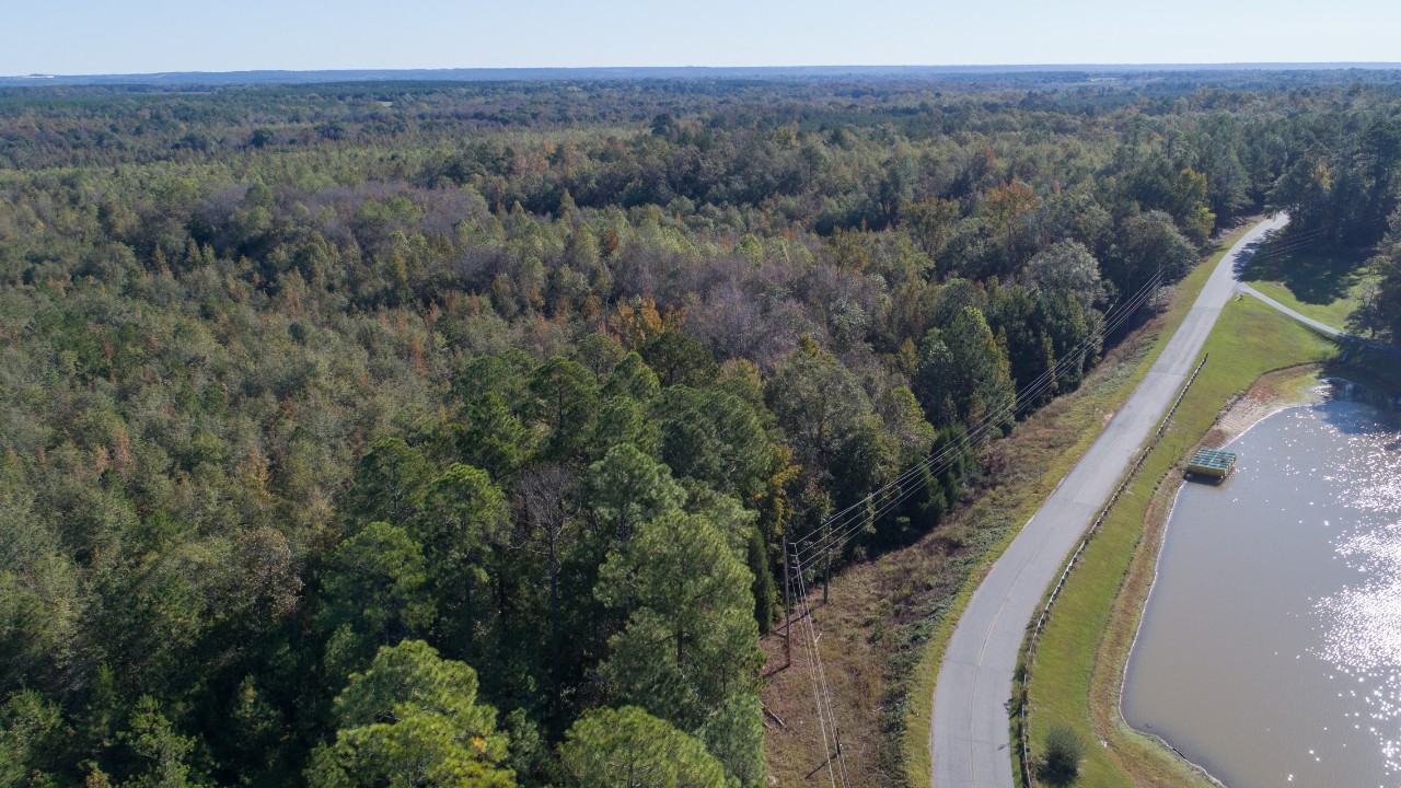 72.97 Acres - Online Only Auction