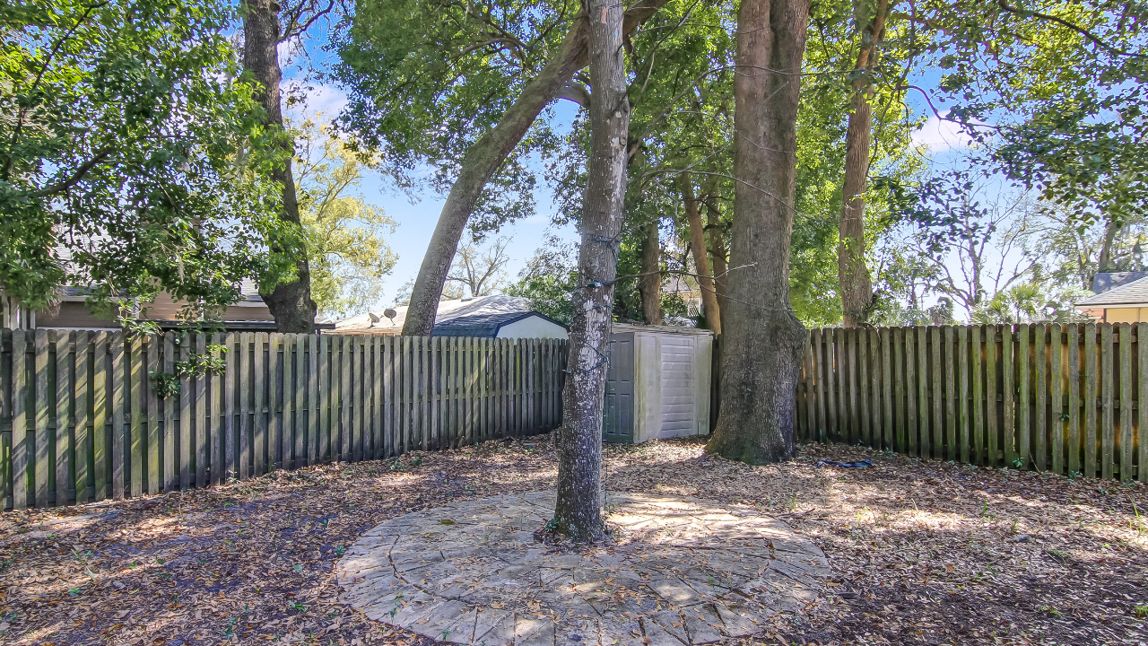 Backyard