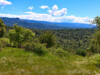 spring views 