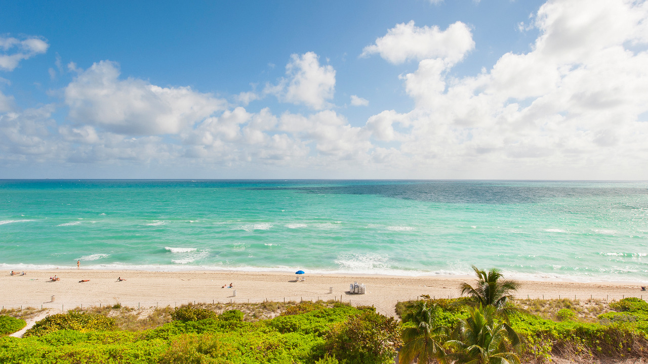 Ocean View