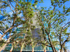 Echo-Brickell-#1902-01 - 1451 Brickell Avenue