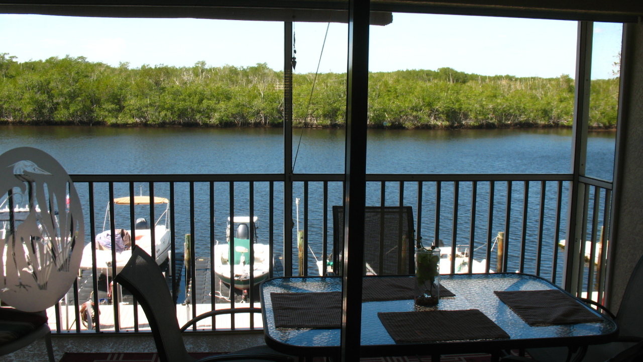 Water View from Living Room