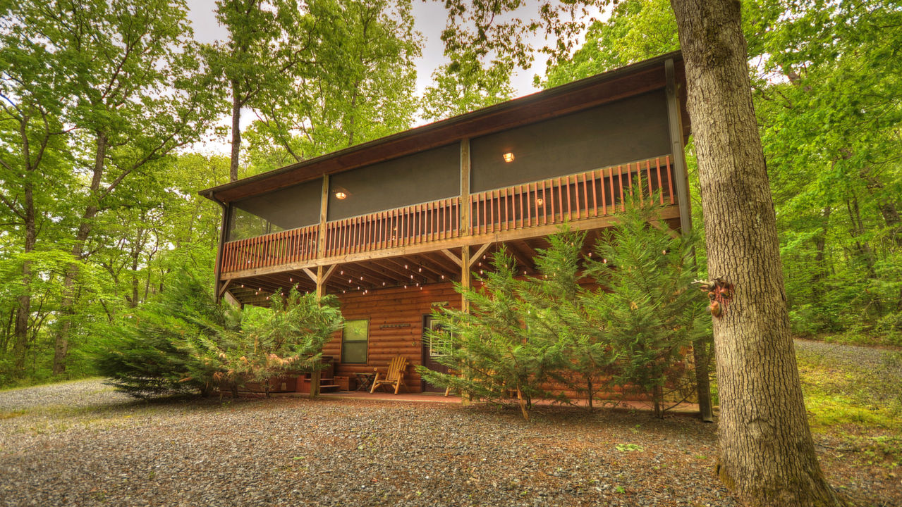 Sweetwater, Blue Ridge, GA, 30513 Scene 3