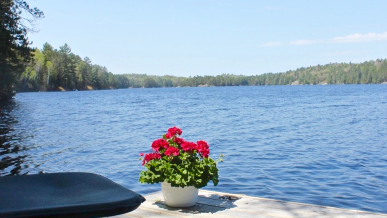 621 Weslemkoon Lake, Gilmour, ON, k0L 1W0 Scene 4