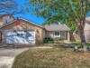 IMG_1381-HDR3-Focus
