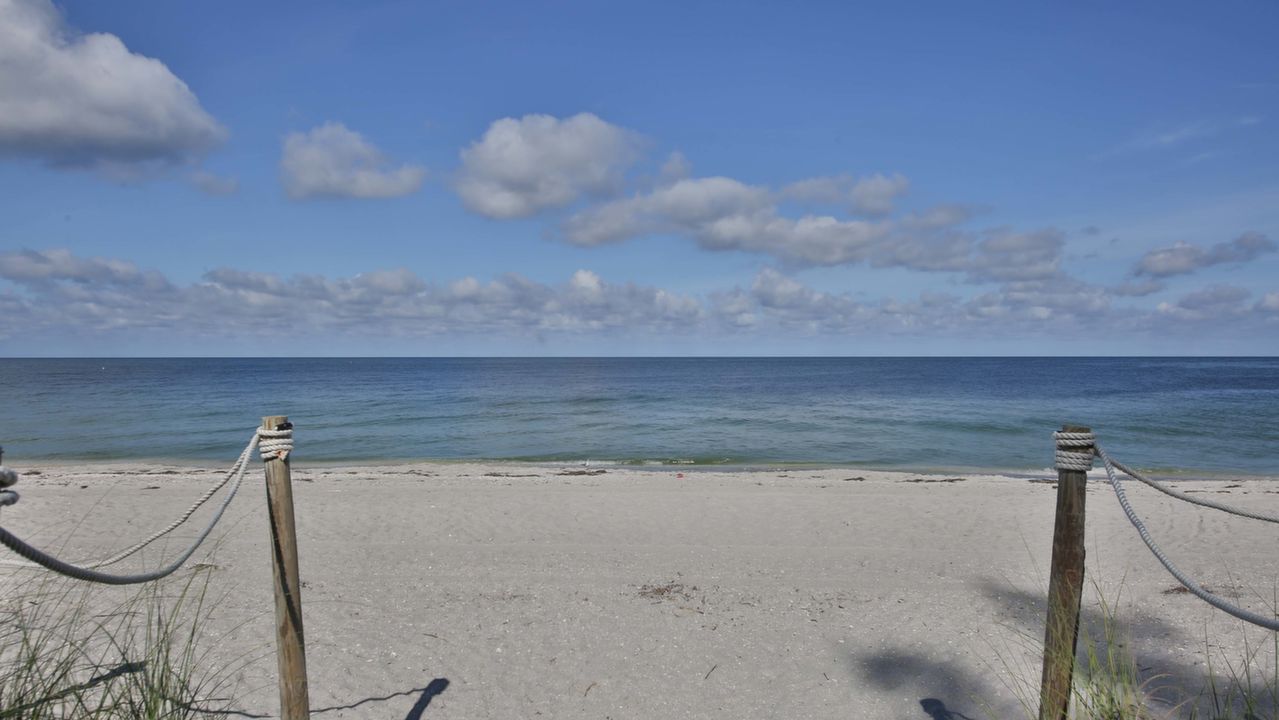 Welcome to the Beach