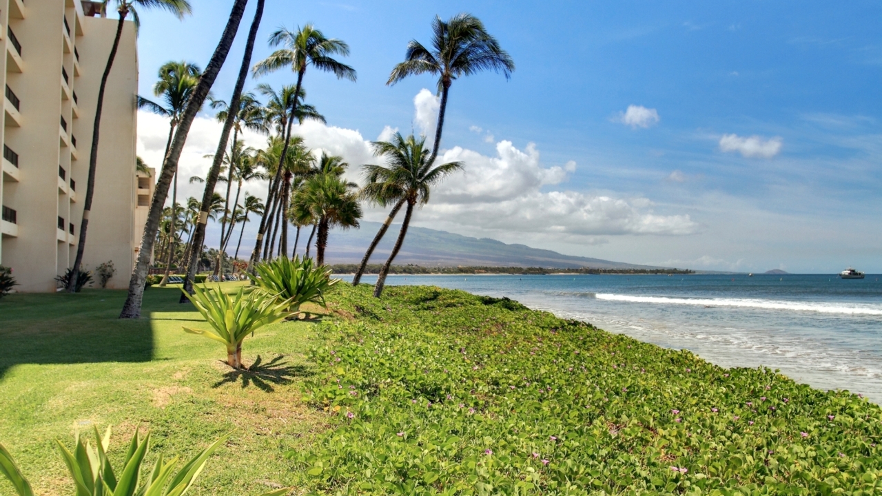 Southern Courtyard View